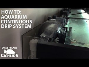 How to: DIY Aquarium Continuous Drip System