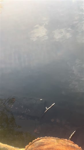 rider floo (@rider.floo)’s videos with original sound - meetdara / DARA