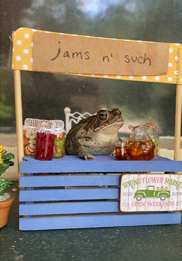 #toad #frogtok #snallbusiness #jams | toad