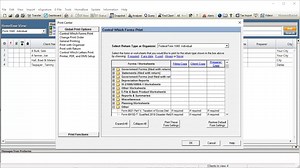 Intuit - ProSeries Tax Software - Global Print Options