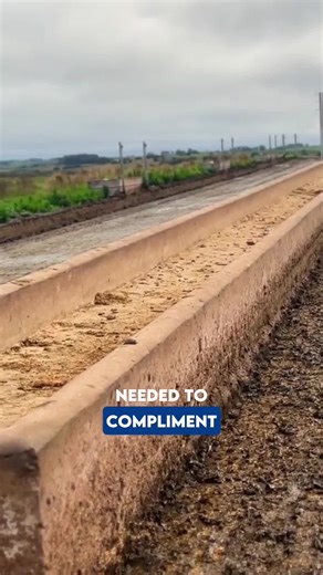 Want to meet your herd’s intake and performance goals? At this farm, daily feedbunk reading is an essential practice to achieve them. Nutritionists, mixer operators, and those responsible for cow management are actively involved in evaluating feed refusals — often being the first to detect intake deviations. The ration is adjusted weekly based on the quality and availability of pastures, enabling precise and efficient supplementation. Even with fluctuations in the field, the team manages to meet