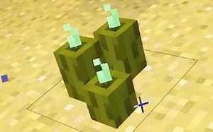 Sea Pickles in Minecraft: Where To Find Them
