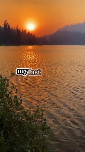 Quitting My Job Without Notice: A Story from Reddit