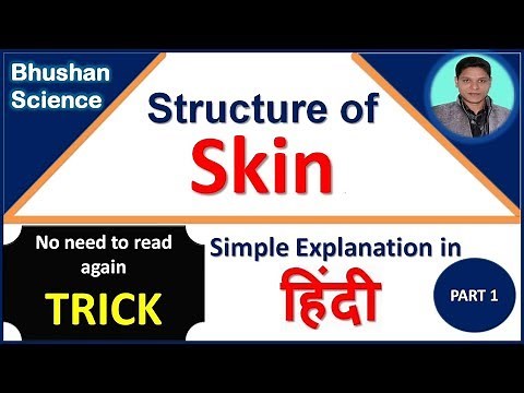 Structure of Skin (Epidermis) - Integumentary System- Trick- in Hindi | Bhushan Science