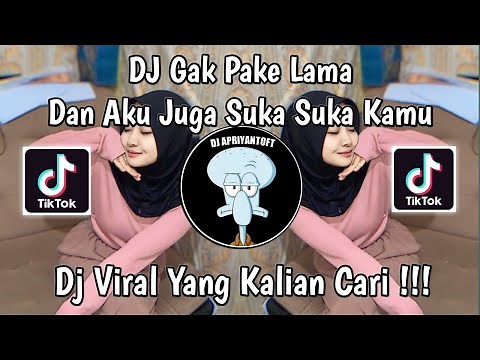 DJ DAN AKU JUGA SUKA SUKA KAMU KUTUNGGU | DJ GAK PAKE LAMA VIRAL TIK TOK TERBARU 2024 !
