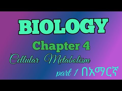 Biology 4 #Cellular Metabolism part 1 በአማርኛ