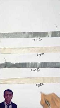 Part 2: Capacitor Two metal plates @theory_of_physics #physics #experiment #education #short #plates