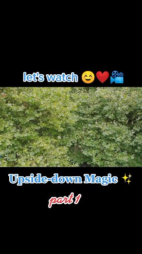 Upside-Down Magic Adventure at Sage Academy