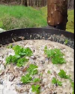 WARNING: Once you’ve used the Hand Forged Complete Set, nothing else will ever compare. Perfectly balanced and ruthlessly sharp, this set is EXCLUSIVE to The Cooking Guild. Order now...at your own risk. | Cooking Guild