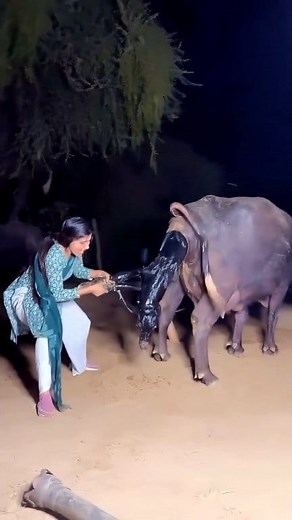 89K views · 481 reactions | No,,9784788904. #facebookpostシ #todaybestphotochallengeestpho #fblifestylechallenge #videoviralシ #highlightseveryone #viralphotochallenge2025 #facebookreelsviral #viralreelschallenge #viralvideochallenge #viralreels #viralchallenge #postingchallenge | Parm Londhe | Facebook