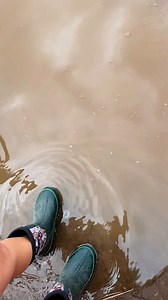 The lack of mud is the number one reason I prefer sand! #chickens #sandrun #foryoureelsfb #fyp #sillygoose #reels #chickens #chicken #backyardflock #homestead #reel #sand | Chicken Schmidt Farms