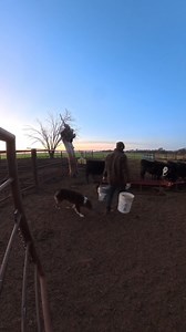 Bucket by bucket | Swisher Beef Co.