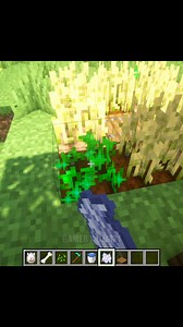 6.7K views · 90 reactions | Underground Tree House in Minecraft  #modernhouse #medieval #survivalmode #buildtutorial #minecrafttutorial #minecrafthacks #minecraftideas #minecrafttips #speedbuild #minecraft #mc #minecrafter #minecraftbuilds #facebookreel #facebookgamingcreators #facebookminecraft #minecraftredstone #redstonebuild | Gamer x 0TM21 | Facebook