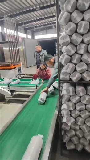 Shiitake Mushroom Automatic Bagging and Shelving Machine #mushroomcultivation #mushroommachine