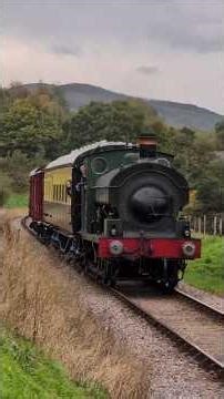 WSR AUTUMN GALA: 813 passes Leigh Wood crossing