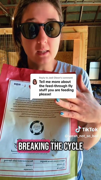 Effective Fly Control Solutions for Your Farm