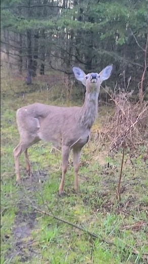 Mystery of Past Lives: Dr Brian Weiss