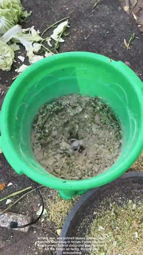 Häcksler macht das perfekte Futter! 🦆 #Handwerk