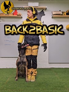 373K views · 10K reactions | Well after days of her doing nothing,...