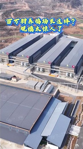 Automatic Intelligent Layer Farm #automatic #equipment #farming #automobile #chicken #factory