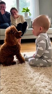 This Baby Was NOT Ready for This Unexpected Moment 😂