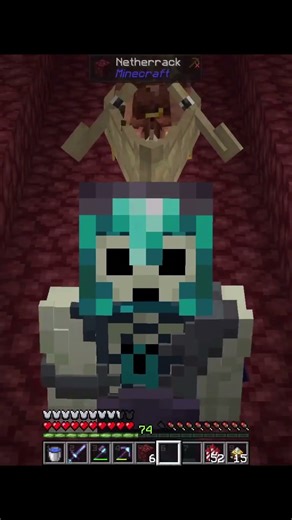 Gotta love the new versions (and mods) #minecraftmods #minecraft