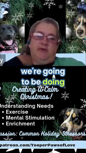 Want a calm Christmas with your dog? Consider their needs first. Exercise is key to a happy, healthy dog, but it often gets neglected during the holidays. Remember exercise doesn't have to be outside! Keep those tails wagging. #CalmChristmas #DogNeeds #HolidayTips #DogExercise #HappyDog #12DaysofPlanning #ypoflove | Yooper Paws | Facebook