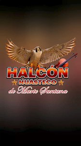 30K views · 611 reactions | Zapopan Jalisco allá mos vemos  por primera vez Halcón Huasteco De Marte Santana ❤ sábado 17 de Agosto  | Trio Halcón Huasteco De Marte Santana Oficial | Facebook