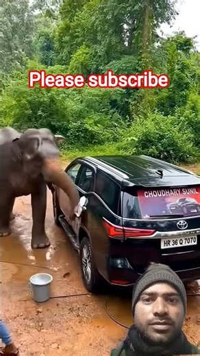 man hij washing elephant attack #####