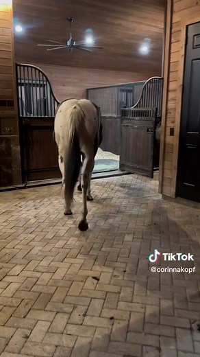 more farm content and more car content too 🥲♥️