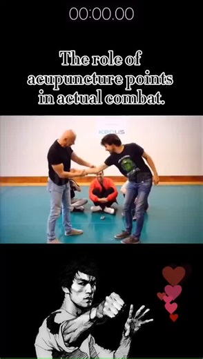 Kungfu.Combat on TikTok