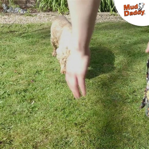 150K views · 72 reactions | ⭐⭐⭐⭐⭐ 1st & 2nd batch sold out We are...