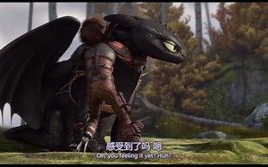驯龙高手2-Toothless用小石子砸了一下Hiccup的头表示自己生气了