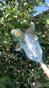 Learn How to Make a Fruit Picker with a Plastic Bottle | My Tips Book
