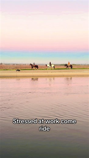 Cowboy Trail Rides on TikTok