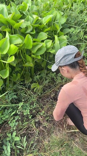 19K views · 100 reactions | The best survival trap for huge eel fish! | Emma's Fishing | Facebook