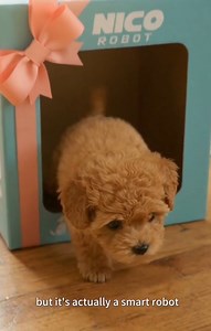 13 reactions |  Meet Nicco - My Realistic Robot Puppy, the perfect...