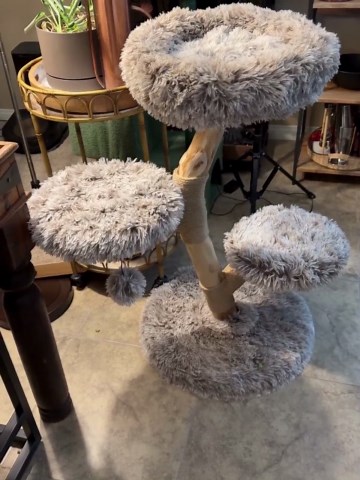 Natural Wood Cat Tree With Cozy Perch and Plush Platforms - Etsy