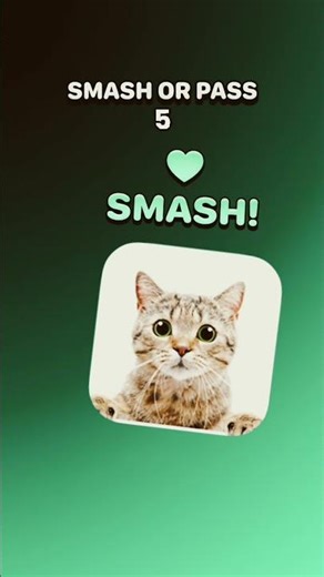 smash or pass cat edition