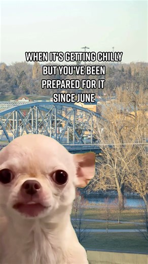 Even when the temps start to dip, Grand Forks always finds a way to keep its cool. 😎 Want to see how the seasons have shaped the area over the years? Catch Natalie’s new article at gfiscooler.com/whats-cooler-today! #GFisCooler #grandforks #NorthDakota | Greater Grand Forks: Way Cooler Than You Think