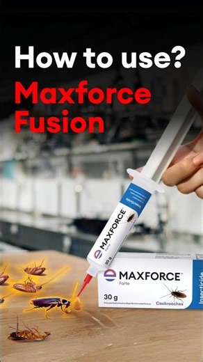 How to Use Maxforce Fusion Cockroach Gel