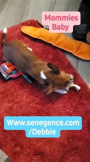 Follow us on Facebook WakeUp N MakeUp with Debbie VIP group!