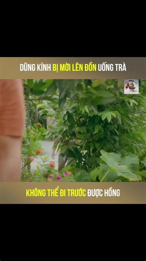 Mọt phim Việt phần 227#xuhuong #phimhay