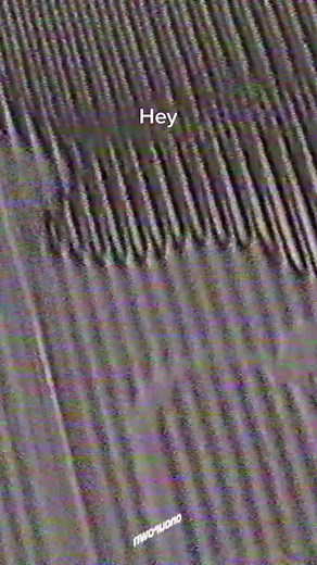 Listen to Nevi's Latest Song 'One Day' Now!