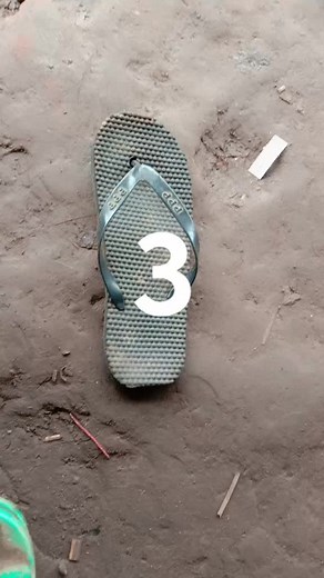 Flip-Flops to Dinosaurs: A Colorful Transition