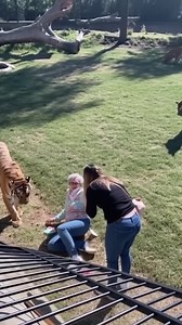 grandma noo!! #tvstory | Tv Story