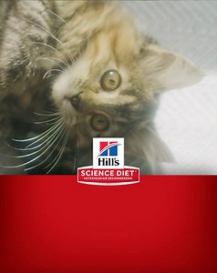 580K views · 4.2K reactions | Trust you two to make every little moment together feel momentous #HillsTransformingLives | Hill’s Pet Nutrition | Facebook