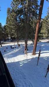 12K views · 445 reactions | Our yearly snow adventure ️凉 | Everythingdad forever | Facebook