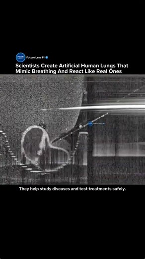 Scientists Create Artificial Human Lungs That Breathe and React Like Real Ones #lungs #meidcal #tech