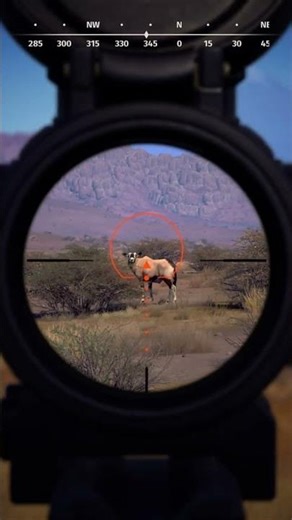 Proof That The Crossbow Is GOATED 😏🔥 - Way of the Hunter #wayofthehunter #hunting #crossbow #viral